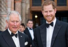 King Charles’ True Reason For Meeting Prince Harry And His Grandchildren, Finally Revealed King Charles with Prince Harry