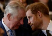 Prince Harry and King Charles