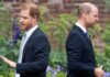 Prince Harry and Prince William