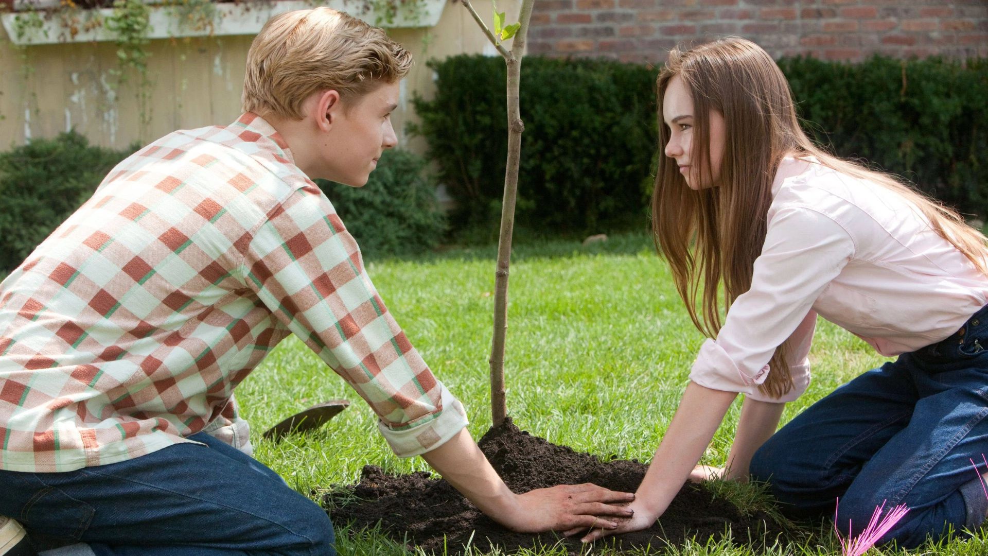 7. Flipped (2010)