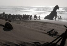 The Real Reason Christopher Nolan’s ‘The Odyssey’ Features a Buried Trojan Horse The Odyssey (Image: Universal Pictures)