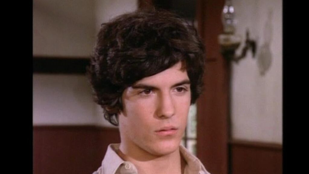 'Home Again: Part 1', Season 9, Episode 16, 'Little House on the Prairie' (Image: NBC)