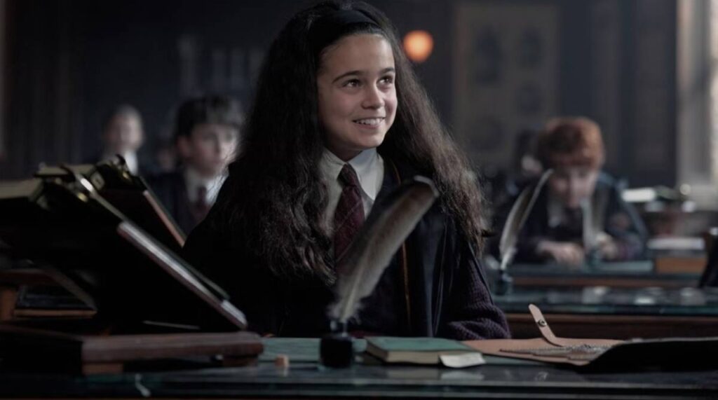 'Harry Potter' (Image: HBO)