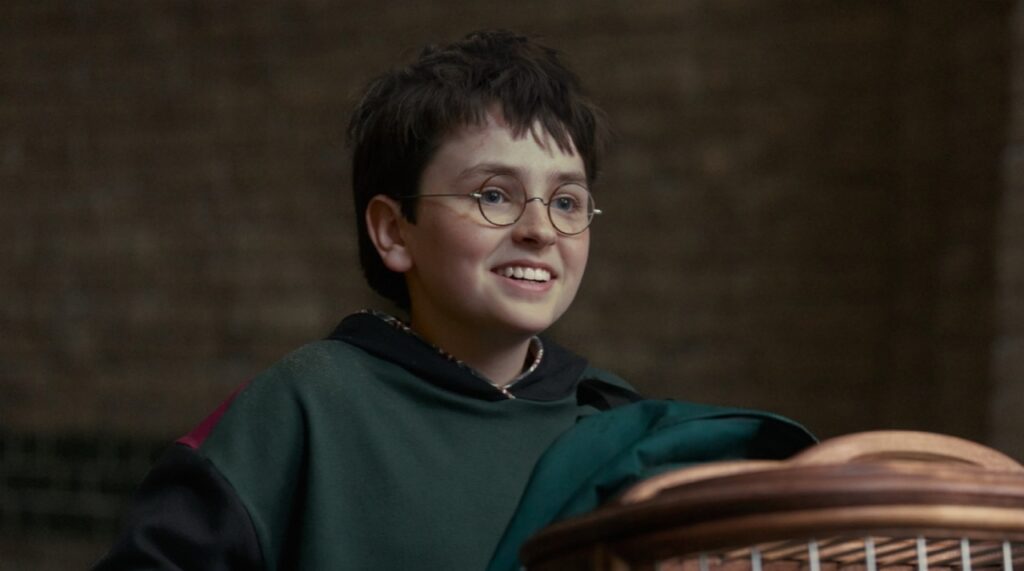 'Harry Potter' (Image: HBO)