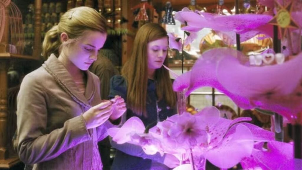 Hermione and Ginny from 'Harry Potter'