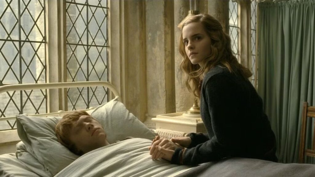 Hermione and Ron in Harry Potter And The Half-Blood Prince (Image: Warner Bros. Pictures)