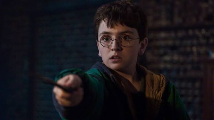 HBO's 'Harry Potter' (Image: HBO)