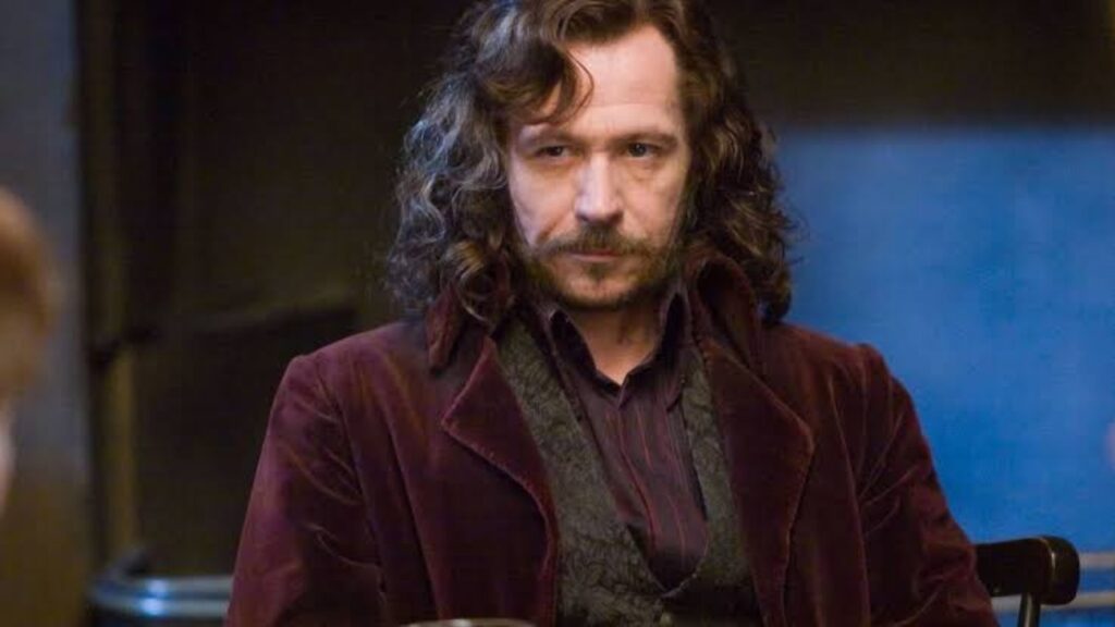 Sirius Black in 'Harry Potter' (Image: WB)