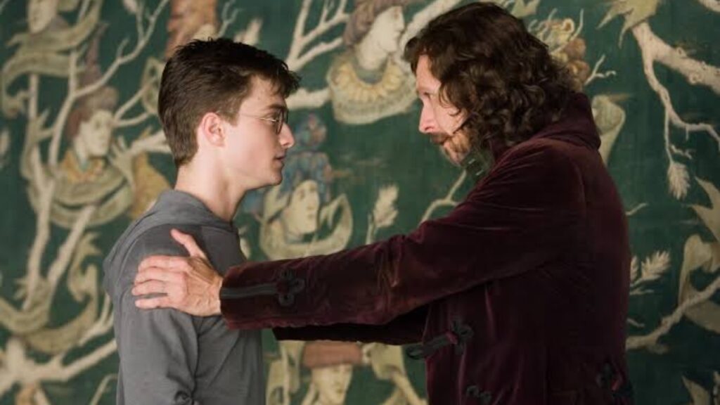 Sirius Black in 'Harry Potter' (Image: WB)