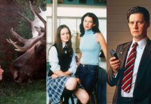 Top 20 Most Iconic Small-Town TV Shows Of All Time Northern Exposure (1990-1995), Gilmore Girls (2000-2007), Twin Peaks (1990-2017) (Image: CBS, The WB, ABC)